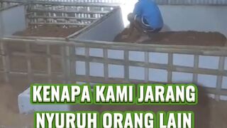 Ini alasan kenapa kita gak nyuruh orang lain saat buat kolam