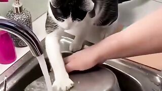 let me help you with that