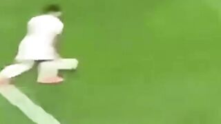Merino goal 2