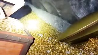 A Screat Tunnel Full Of Pure Gold 🪙🪙