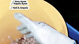 High Alternative Feed