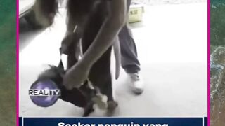 belanja sendiri