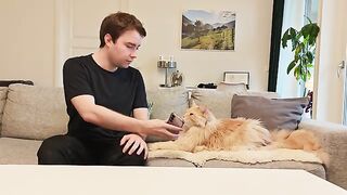 Finding Pink Milk For My Cat!