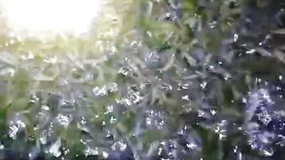 Apakah BISA pelet KECIL untuk lele BESAR pelet besar untuk LELE KECIL