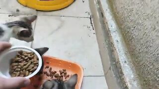 Thank you so much to all the animal lovers who subscribed to my channel