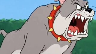 Tom and Jerry 35