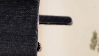 Wall-Mounted Cat Climber Set Review: Best Space-Saving Cat Playground?.Pet Vibe Central. #ad #cat