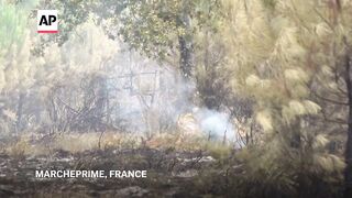 AP reporter shows what's left of a forest as France battles wildfires