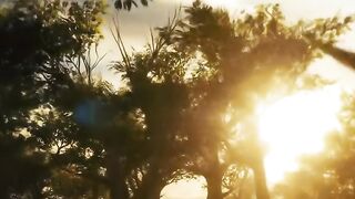 Beautiful Scenery in 4K | Best Nature Views for Relaxation
