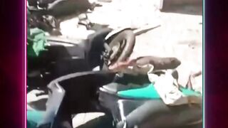 Bentrokan di Menteng Berawal dari Cekcok di Warung Nasi Uduk