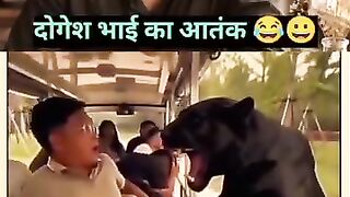 Doges bhai ka achnak