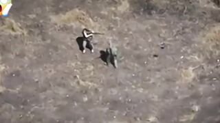 2 Russian Soldiers Survive Drone Attack | Real Battlefield Footage Description