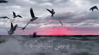 Tilawat e Quran Majeed 109