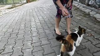 Three adorable stray cats suddenly gathered around us