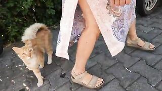 Cute stray cat, with her tail tucked behind her back, was very friendly