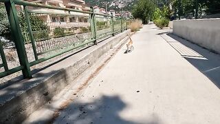 I Met the Most Hesitant Stray Cat Ever!