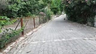 Pom pom the Stray Cat Comes Running the Moment She Hears My Voice!