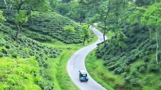 Nature view😍😍