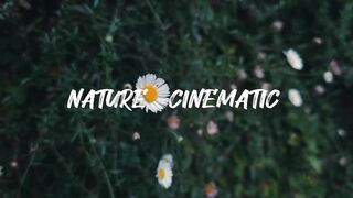 Cinematic video of nature