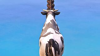 A Cow Traverses The Skyway _ Grand Theft Auto V