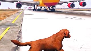 A Dog is Snatched by A Descending Airplane _ Grand Theft Auto V