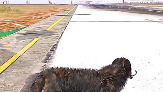 A Plane Comes Down And Catches A Dog _ Grand Theft Auto V
