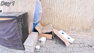 We Went Back for the Street Mama Cat and Her 4 Kittens with a Big Surprise!