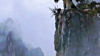 World's Largest Eagle - The Gigantic Eagle of the Mountains 🦅