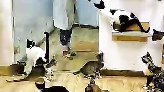 We will make a lot of love and care