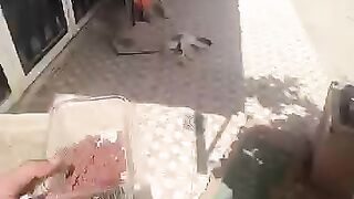 Food will be provided at the right time