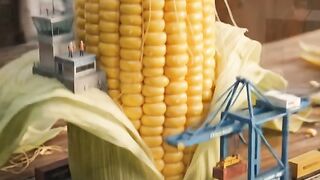 🌽🚢 What if the world's busiest cargo port was hidden inside a giant corn cob?