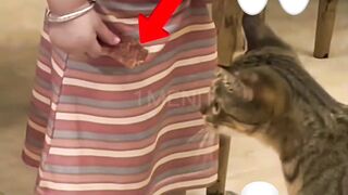 This Cat Really Said "Thanks for the Snack!"