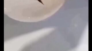 siapa yang masih suka pake tisuu