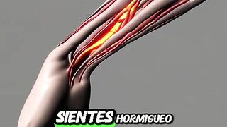Combate el #colesterol alto y mejora la circulación con esta bebida natural