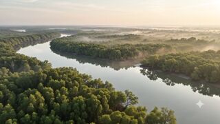 Sundarbans from the Sky | Stunning Drone Views of the World's Largest Mangrove Forest | 4K Nature