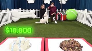 Would Your Dog Pick $10,000 or Steak_