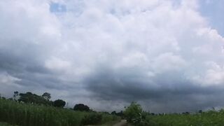 Natural view 19