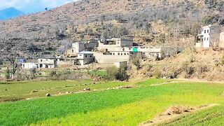 The beauty of my village