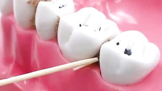 Dental Floss Tooth Cleaning Kit.