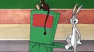 Funny cartoon videos