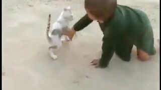 fight cute baby with cat like a wrestling