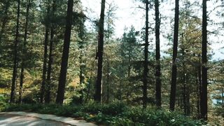 LOST IN THE WILDERNESS