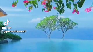 Blue Water And Green Trees