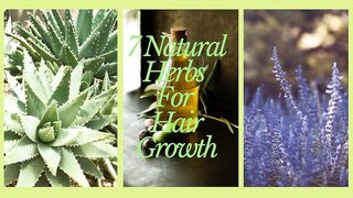 7 Natural Herbs For Hair Growth