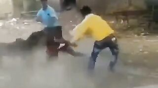 Dog attacking