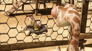 Oscar's Oasis