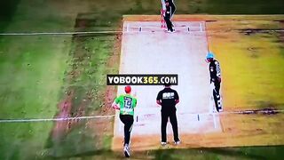 Cricket lovers