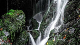 ✅Cachoeira na Floresta / Música Pacífica para Relaxamento Profundo