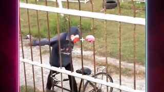 Wanita mana yang menyakitimu king