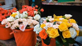 Vibrant Blooming Flowers & Refreshing Nature Scenes 🌻🌿 | Peaceful Natural Beauty